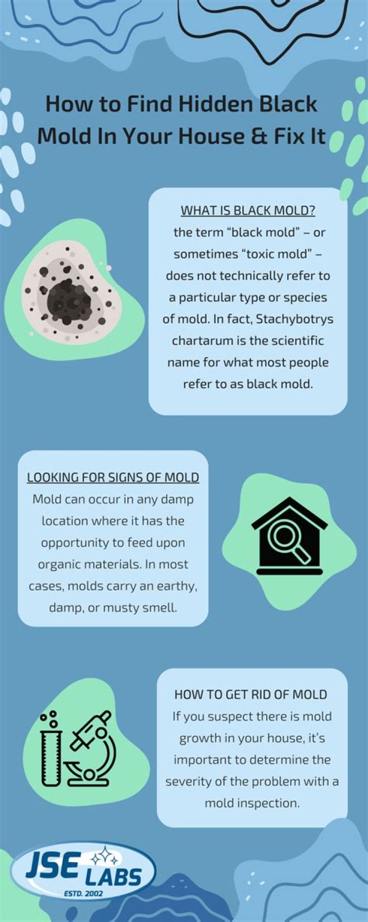 How do you get rid of black mold in drain pipes?