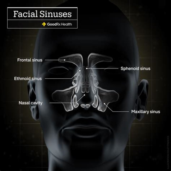 How do you get rid of sinus pressure in your head?