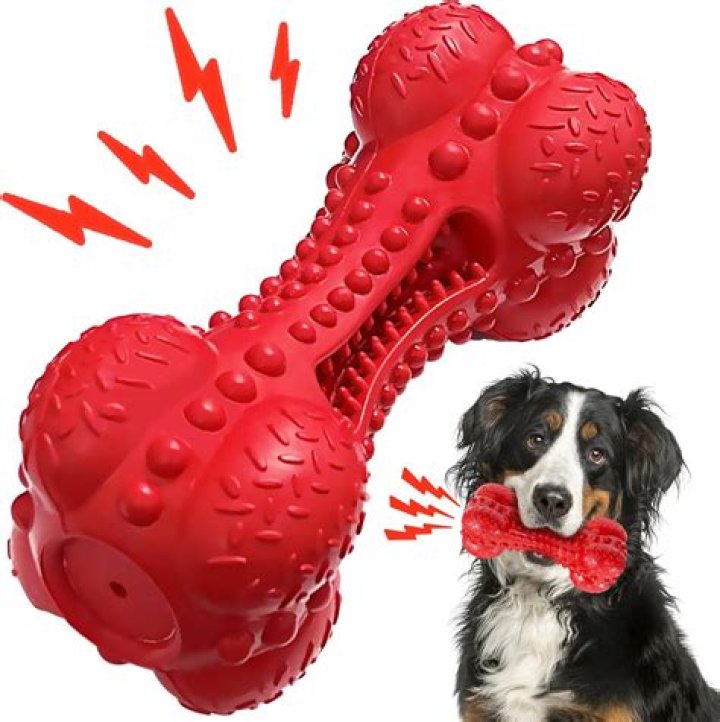 How do you get water out of a dog's squeaky toy?