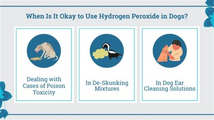 How do you induce vomiting in dogs peroxide?