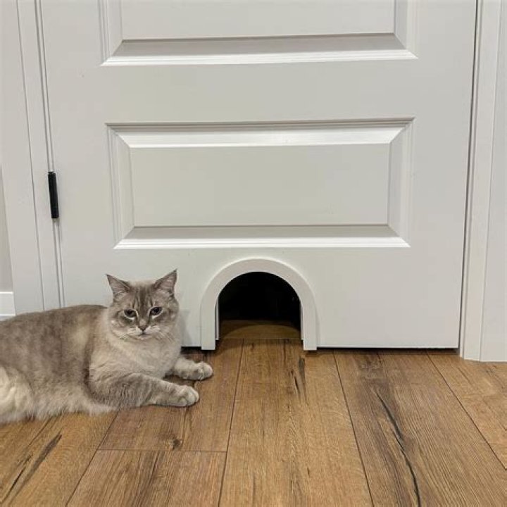 How do you install an interior cat door?