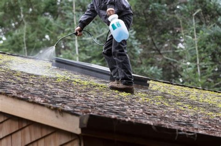 How do you make moss killer?