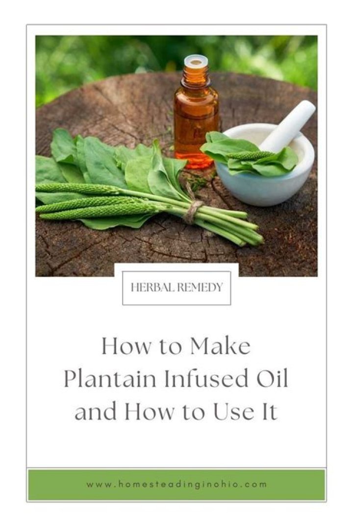 How do you make plantain oil?