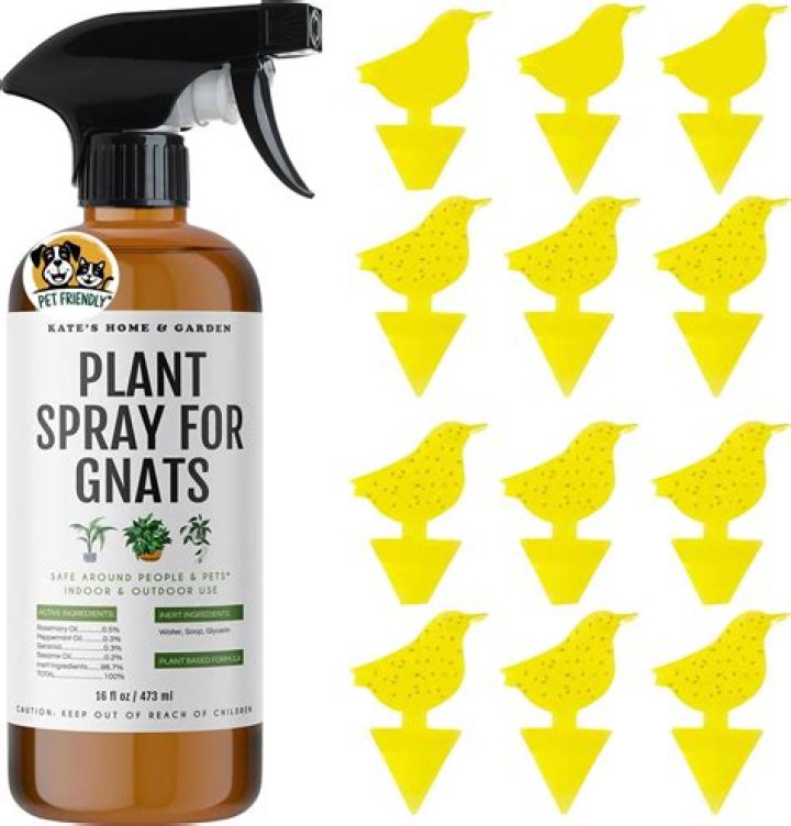 How do you make vanilla spray for gnats?