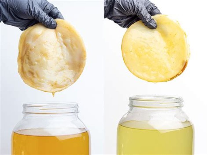 How do you make vinegar from a cane?