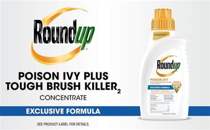 How do you mix Roundup concentrate for poison ivy?