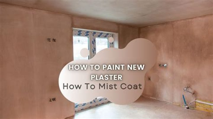 How do you paint new skimmed walls?