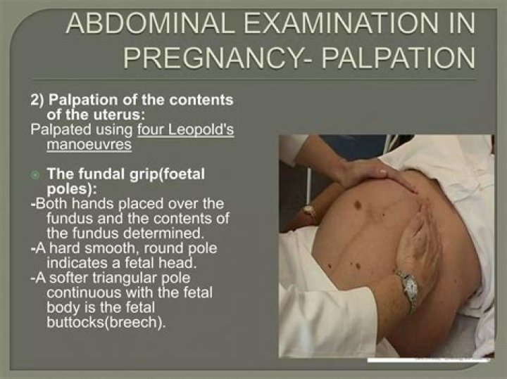 How do you palpate a pregnant woman?