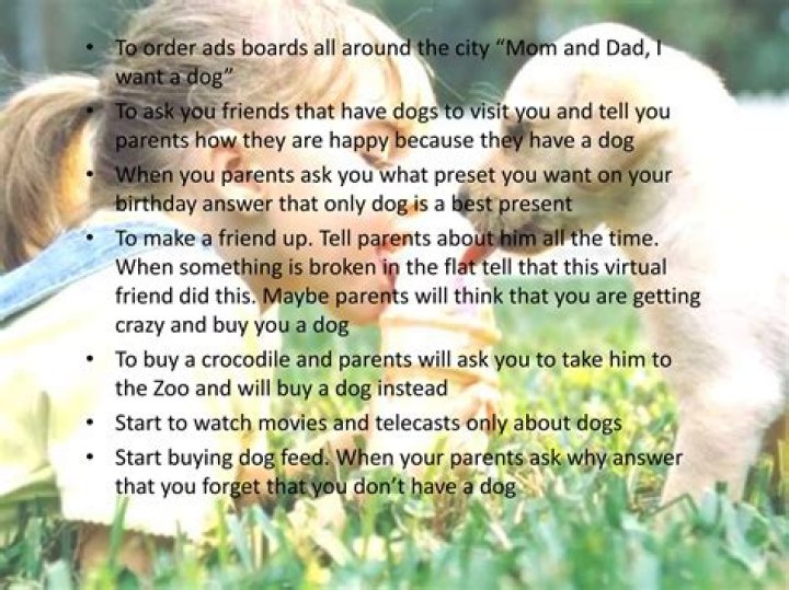 How do you persuade your parents to get a puppy?