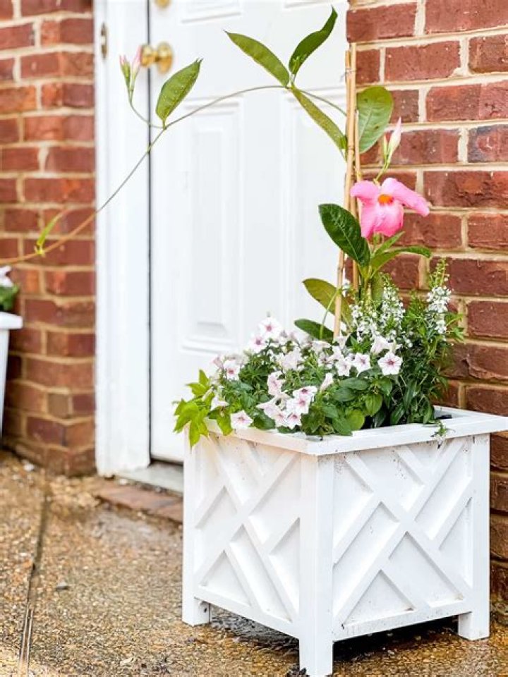 How do you plant flowers in a tall pot?