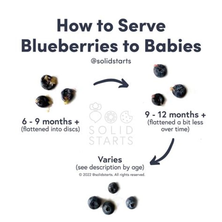 How do you prepare blueberries for winter?