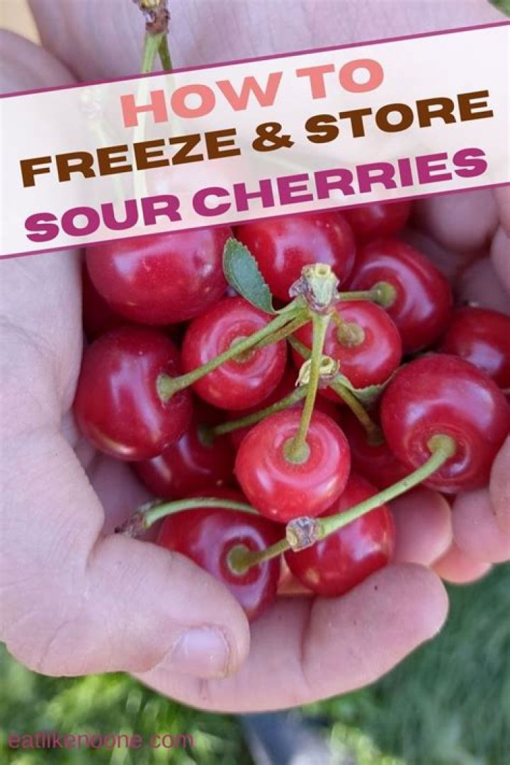 How do you preserve sour cherries?