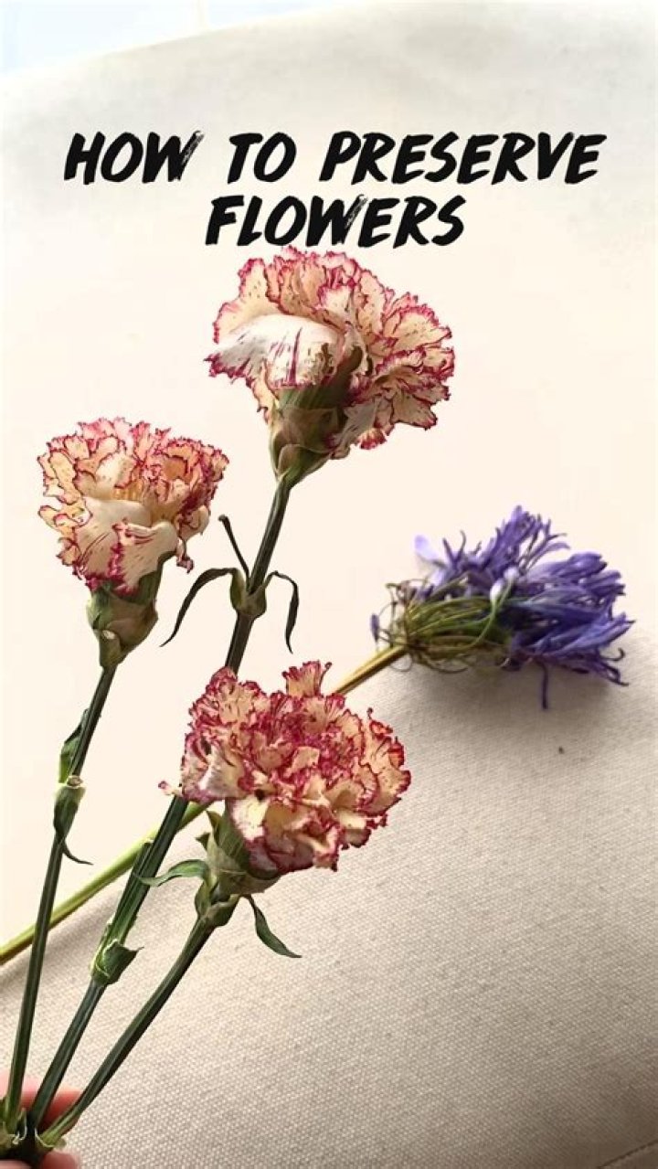 How do you press flowers with an iron?