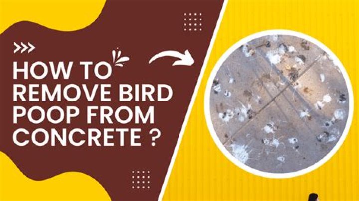 How do you remove bird poop from block paving?