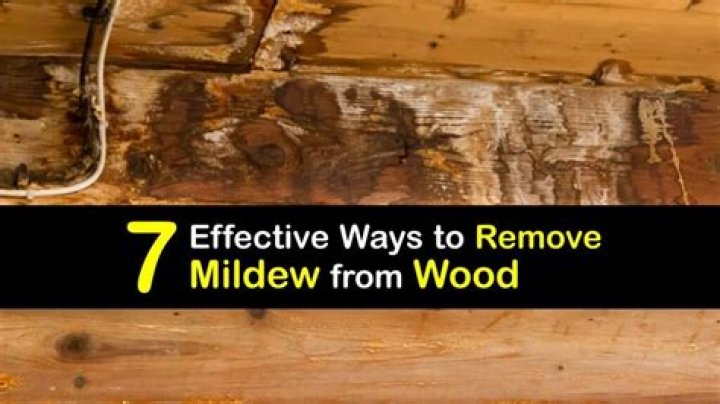 How do you remove mildew from painted wood?