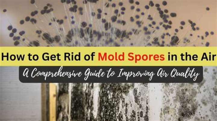 How do you remove mold spores from Christmas tree?