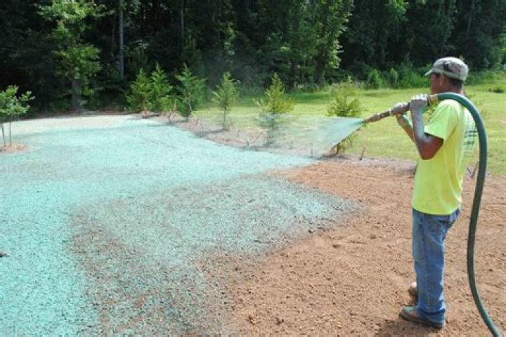 How do you reseed St Augustine grass?