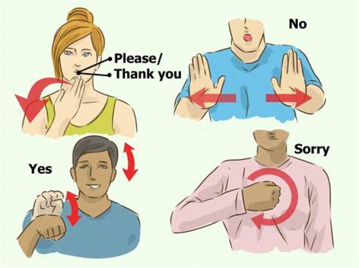 How do you say hand in sign language?