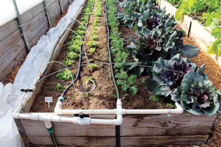 How do you set up a drip system for a vegetable garden?