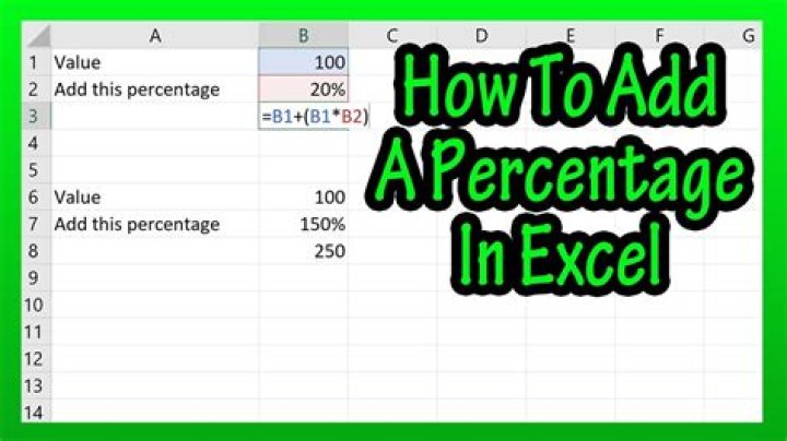 How do you show the percentage sign in Excel?