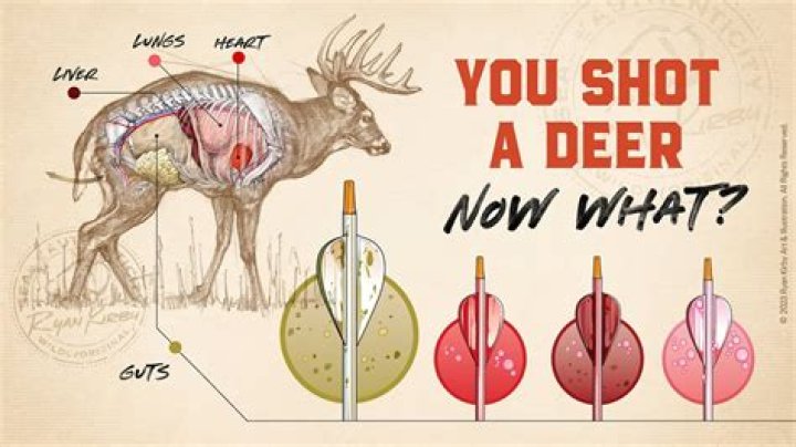 How do you soak deer liver?