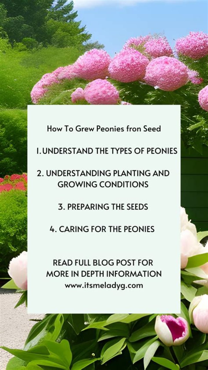 How do you start a peony from seed?