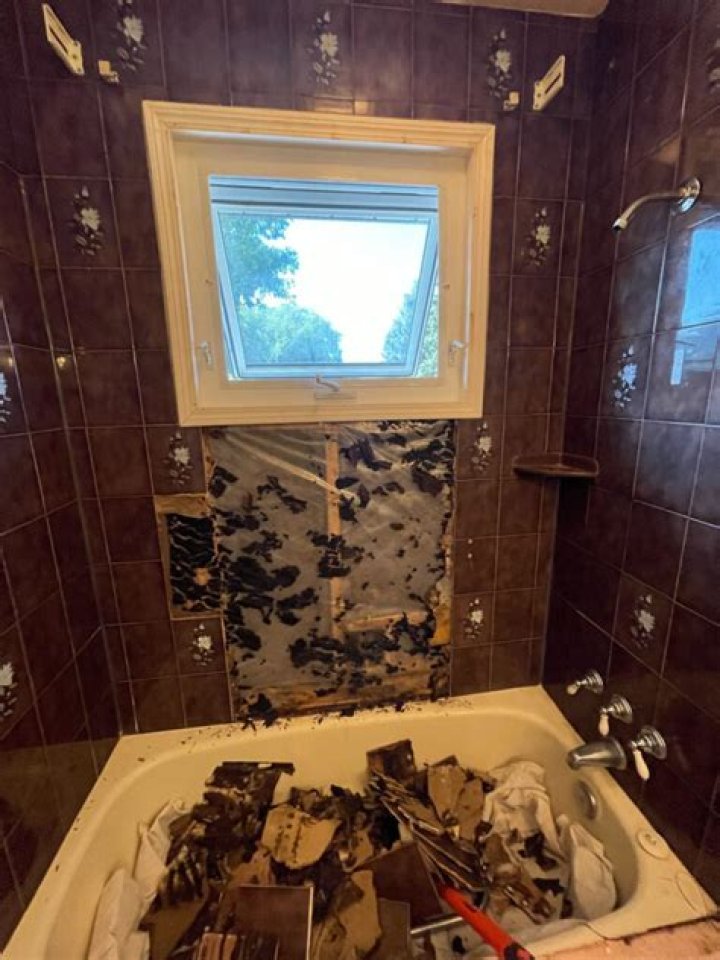 How do you stop mold on bathroom walls?