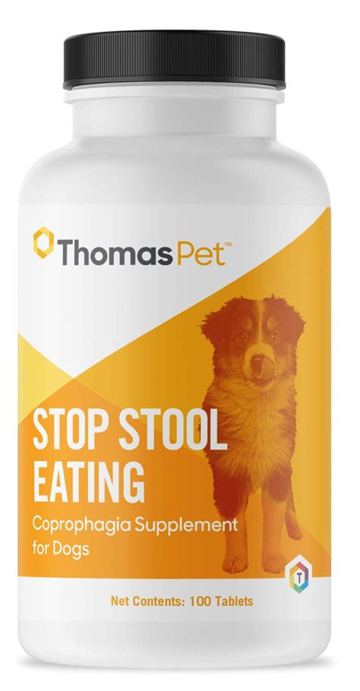 How do you stop puppies eating their own poop?