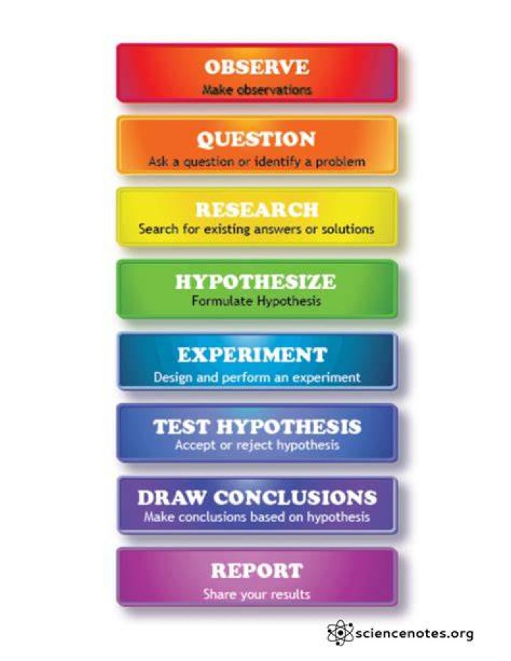 How do you teach the scientific method to first graders?