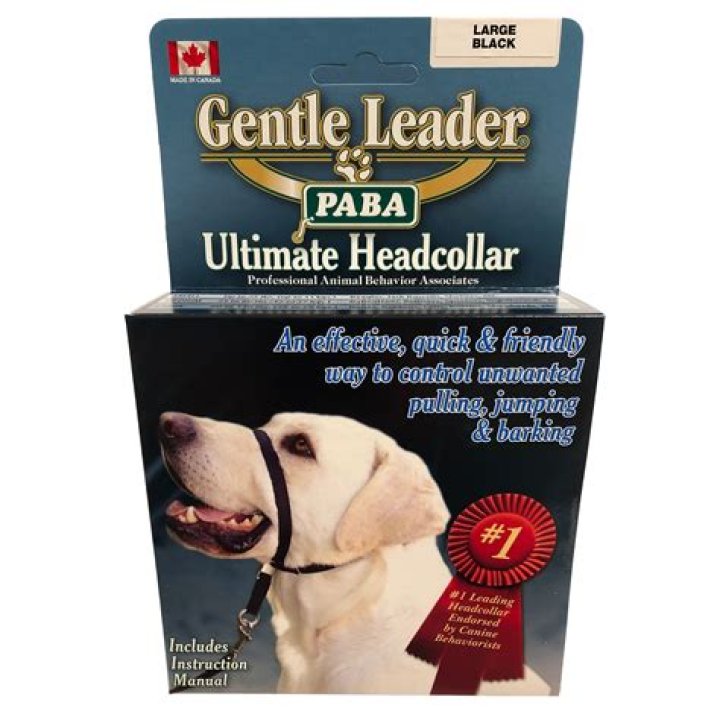 How do you use a gentle leader on a dog?