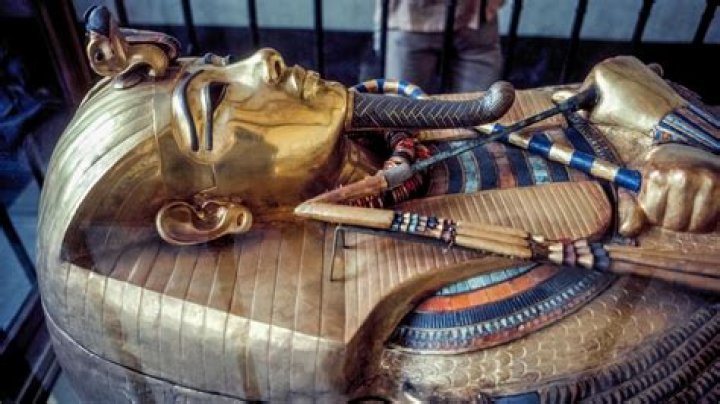 How do you use pharaoh in a sentence?