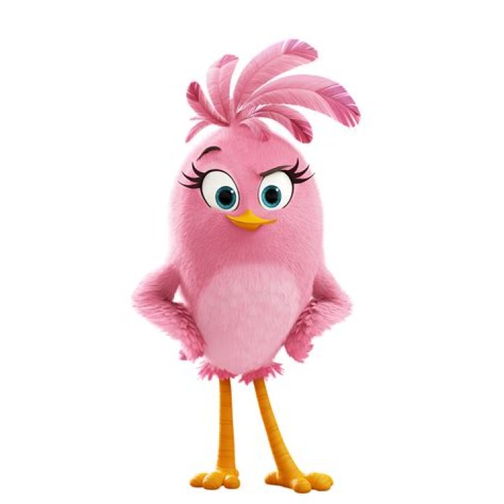 How do you use the pink angry birds?