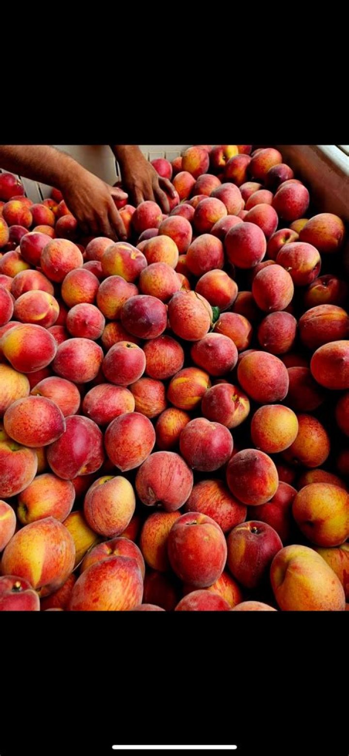 How do you wash fresh picked peaches?