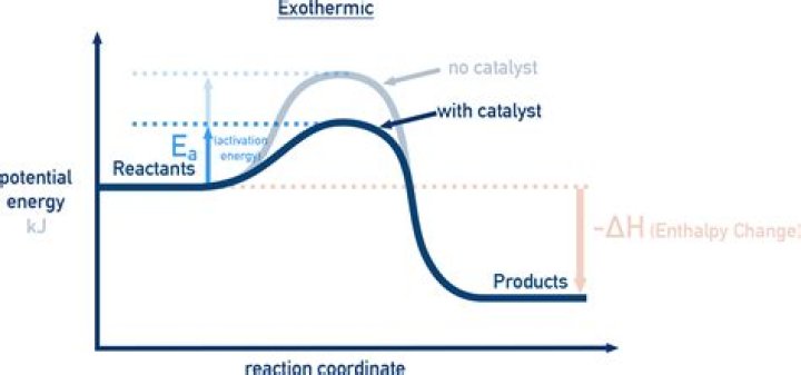 How does a catalyst change the activation energy?