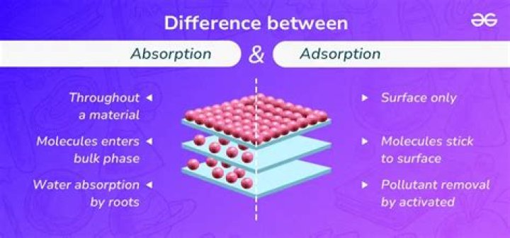 How does a diaper absorb liquid?