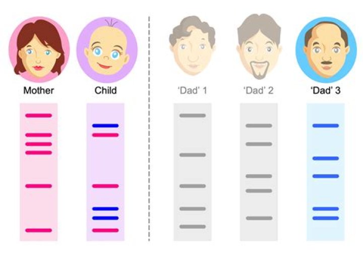 How does a father establish paternity?