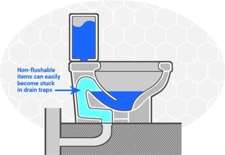 How does a toilet get clogged?