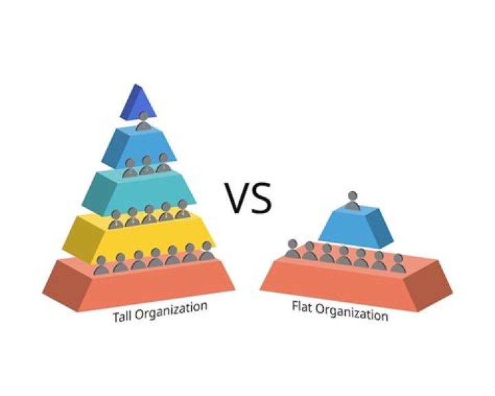 How does flat organization differ from pyramid organization?