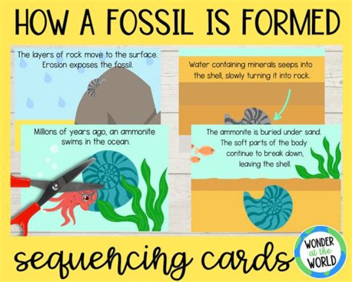 How does fossil twist work?