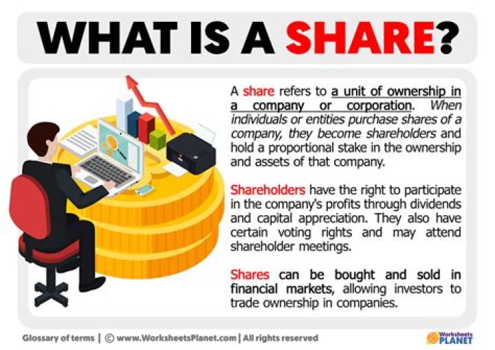 How does having shares in a company work?