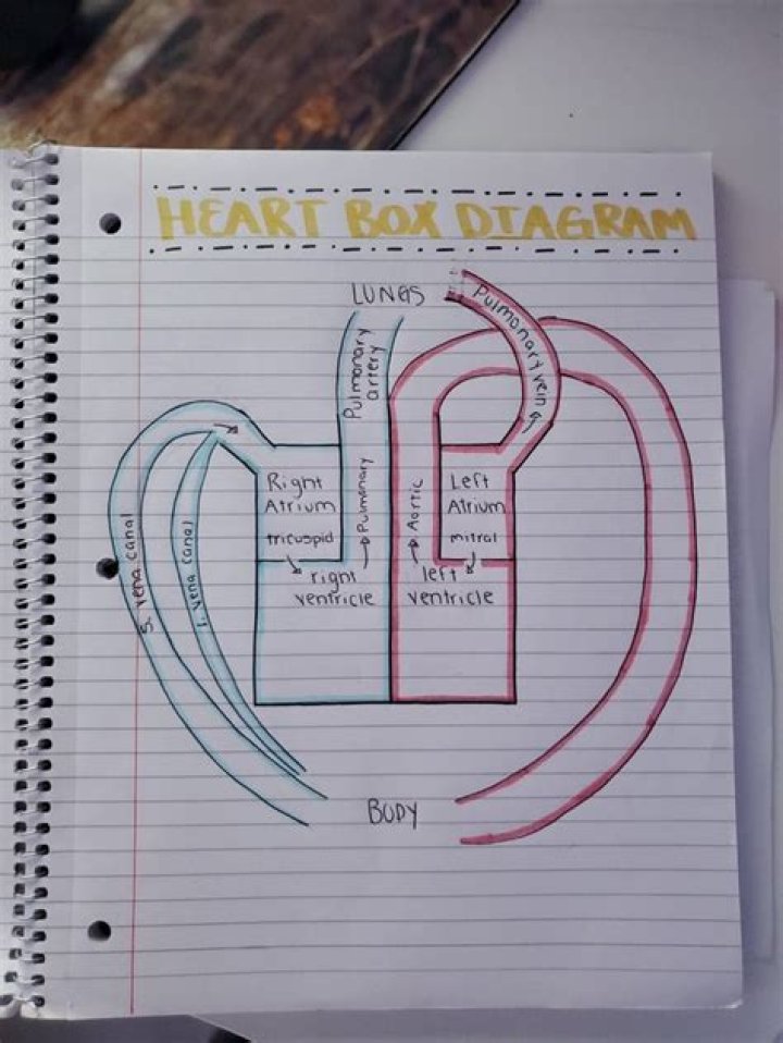 How does heart in a box work?
