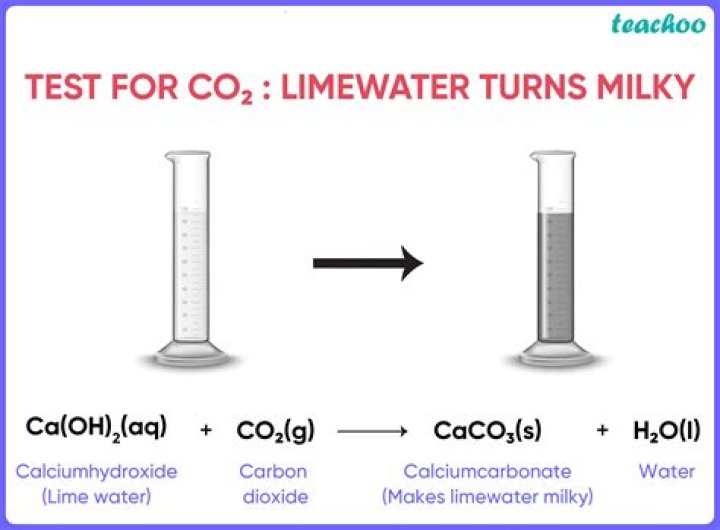 How does Limewater turn milky?