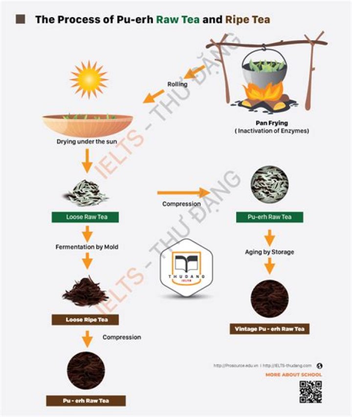 How does Pu Erh tea work?