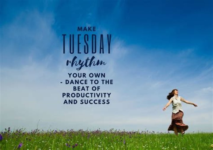 How does the AMC $5 Tuesday work?