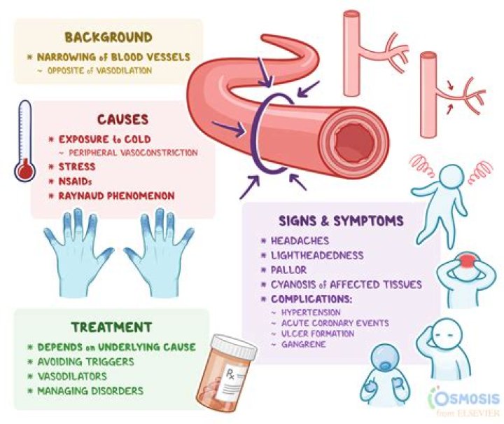 How does the body compensate for blood loss?