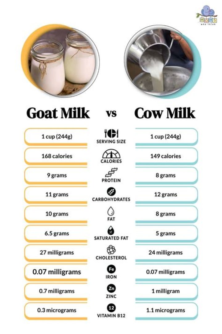 How does the protein in cow's milk compared to the protein in human milk?