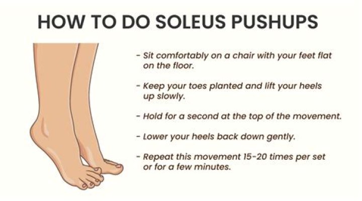 How does the soleus work?