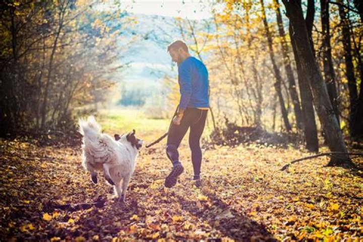 How far can I walk my dog?