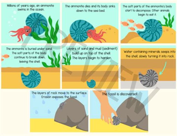 How FeSO4 is formed?