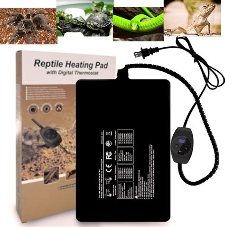 How hot do reptile heating pads get?